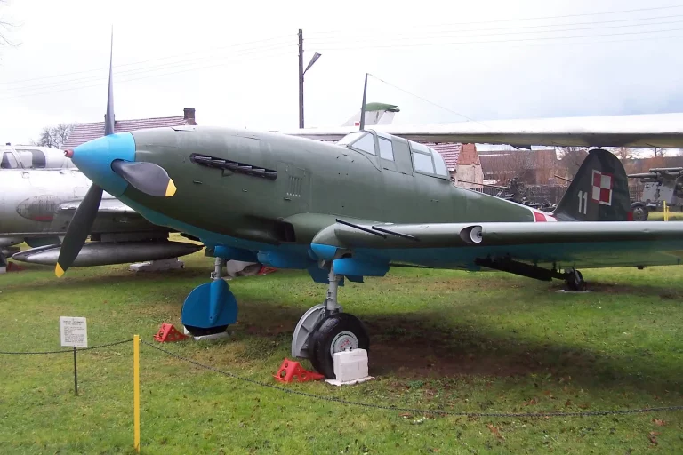 IL-10 (2)
